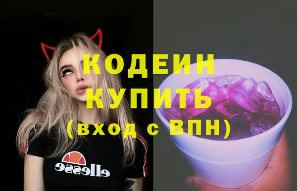 шишки Богородицк