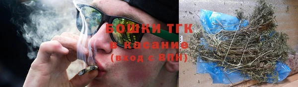 шишки Богородицк