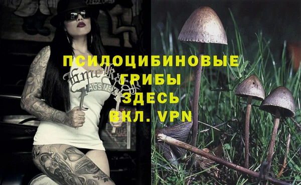 mdpv Богданович