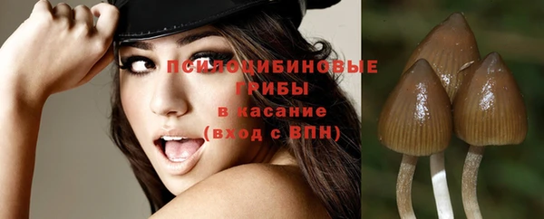 шишки Богородицк