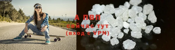 шишки Богородицк