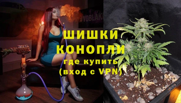 шишки Богородицк