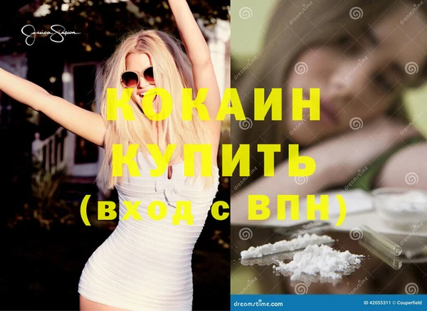 шишки Богородицк