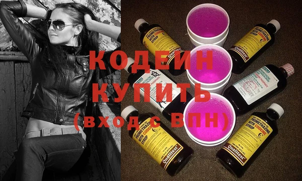 шишки Богородицк