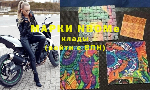 шишки Богородицк